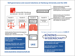 Hamburg University, University Medical Center Eppendorf and their self-governance structures